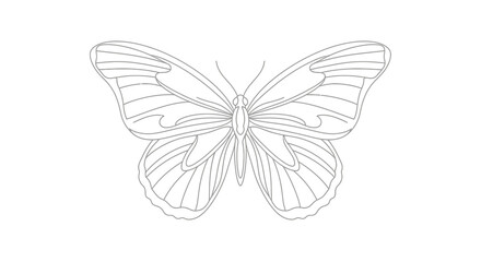 Stylized whisk for baking and cooking modern kitchen utensil illustration