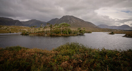 Pine Island, Connemara, Ireland. A much-photographed spot in Connemara, Ireland is Pine Island in Derryclare Lough, with the Twelve Bens in the background.
