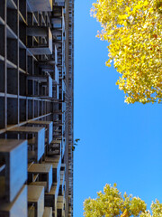 Abstract City Architecture with Trees and Sky