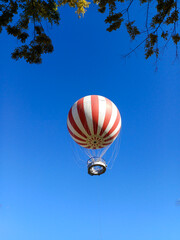 Balloon Above Park Trees in Clear Sky