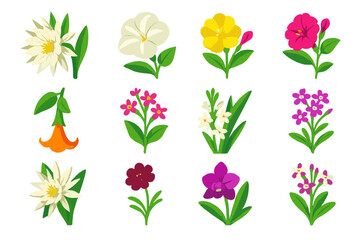 Night Blooming Flowers. Isometric vector illustration set Various Flowers: night-blooming cereus, moonflower, evening primrose,