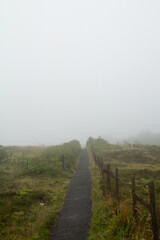 Obraz premium Foggy walking path in Tórshavn, Faroe Islands, great for hiking with unique weather.