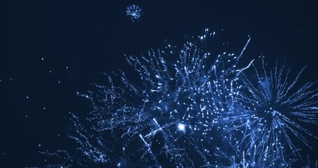 Beautiful firework in dark sky. The color is blue