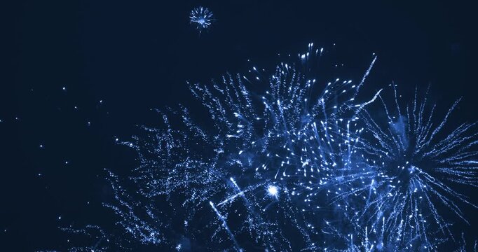 Beautiful firework in dark sky. The color is blue