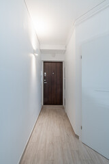 Home Entrance Hall. Interior. Wooden Outdoor Door