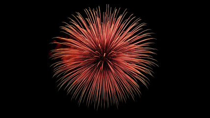 Fototapeta premium A red fireworks explosion in the center of black sky, high resolution photography, professional color grading, soft shadows, no contrast. Ai generated