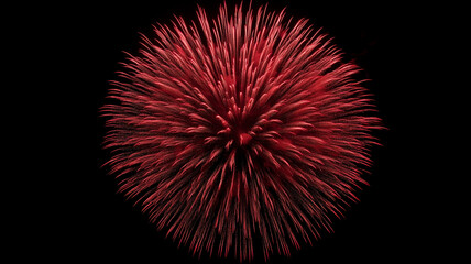 Obraz premium A red fireworks explosion in the center of black sky, high resolution photography, professional color grading, soft shadows, no contrast. Ai generated