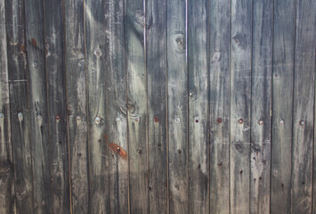 wood texture in high contrast and good resolution	