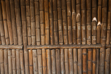 wood texture in high contrast and good resolution	