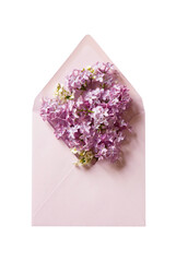 One open envelope in pastel lilac colors. Letter top view. Lilac flowers. Template mockup. PNG,...