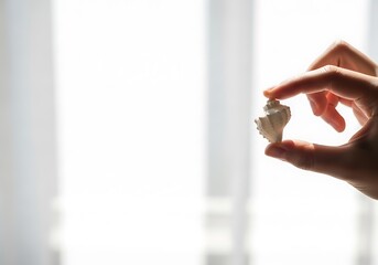 Hand holding a seashell against a bright window background