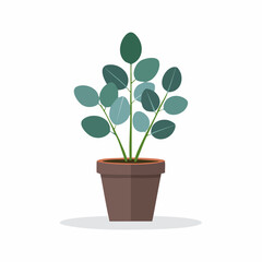 Obraz premium A modern flat design vector illustration of a decorative potted houseplant with round green leaves, isolated on a white background for home decor concepts