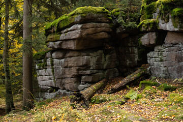 Fototapety na wymiar - Fototapeta24.pl