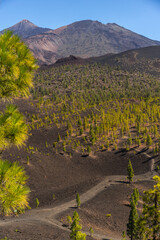 Trail below Teide and Pico Viejo