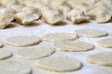 Process of making dumplings with cheese. Process of making dumplings.