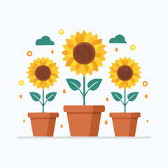 Obraz premium Bright flat illustration of three sunflowers in pots. Stylized clouds, rain, and sun symbolize growth, nature, and spring
