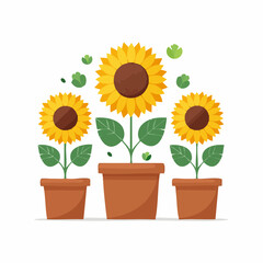 Obraz premium Cheerful vector illustration depicting three vibrant sunflowers in terracotta pots, surrounded by lush green foliage, symbolizing natural growth, summer warmth, and bright garden beauty