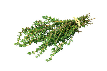bunch of rosemary