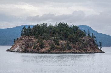 Small Island in Pacific Northwest