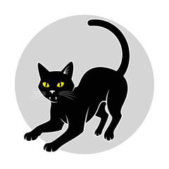 black cat on a white background