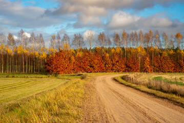 Curved country dirt road leading through autumn fields and colorful birch trees with red and yellow foliage under a cloudy blue sky.