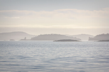 Foggy Morning in the San Juan Islands