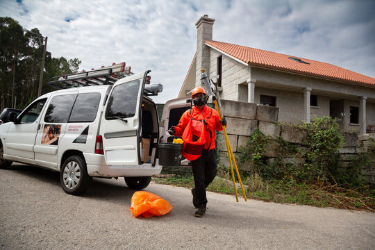 A pest control technician removes an Asian hornet (Vespa velutina) nest from a house under construction in Meis, Galicia.