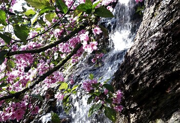  Beautiful HD Wallpaper Images