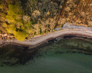 View of Forest Meeting a Rocky Coastline and Shallow Sea