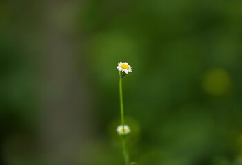  Beautiful HD Wallpaper Images