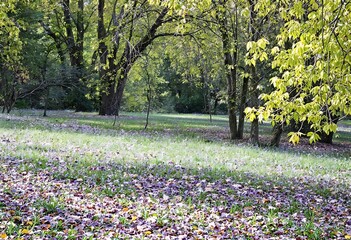  Beautiful HD Wallpaper Images