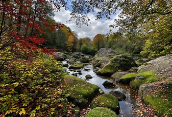 waterfall in the forest