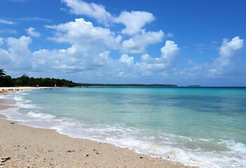 tropical beach with palm trees