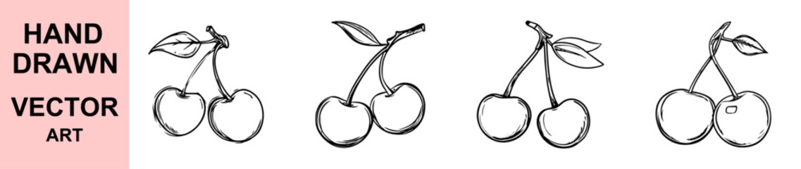 Hand drawn cherry fruit vector illustration, sketch style botanical design, organic sweet berries with leaves, natural healthy food artwork, vintage farm harvest minimal fruit drawing