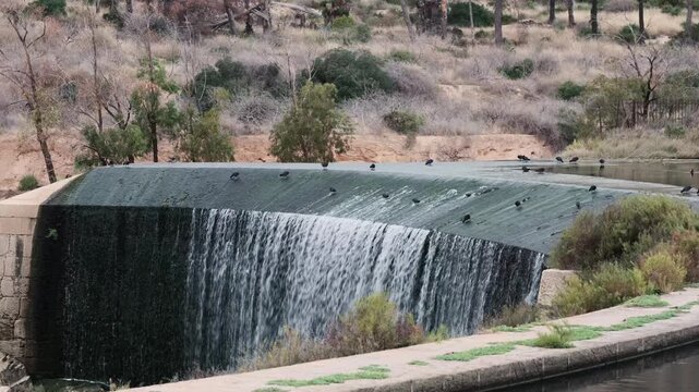 Wild birds resting on the old dam of Pantano de Elche reservoir, Elche, Spain