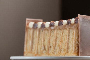 Layered Cake Slice with Chocolate Decoration