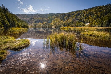 Fototapeta premium Rundweg Wanderweg um den See Kleiner Arber See im Herbst, Bayern, Deutschland