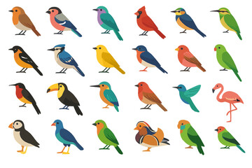 Colorful exotic bird icon set with songbirds, parrots, and tropical species