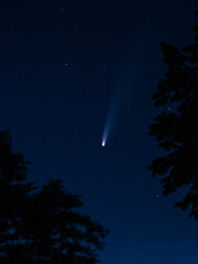 star seen clearly, spectacular celestial event observed through treetop opening during evening hours