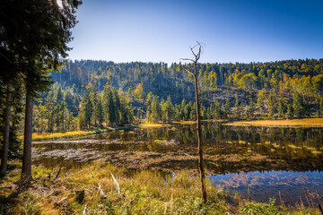 Rundweg Wanderweg um den See Kleiner Arber See im Herbst, Bayern, Deutschland