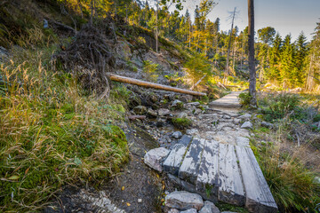 Rundweg Wanderweg um den See Kleiner Arber See im Herbst, Bayern, Deutschland