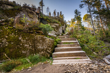 Rundweg Wanderweg um den See Kleiner Arber See im Herbst, Bayern, Deutschland
