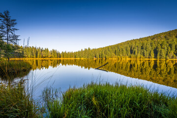 Rundweg Wanderweg um den See Kleiner Arber See im Herbst, Bayern, Deutschland