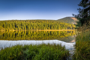 Rundweg Wanderweg um den See Kleiner Arber See im Herbst, Bayern, Deutschland