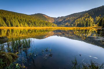 Rundweg Wanderweg um den See Kleiner Arber See im Herbst, Bayern, Deutschland