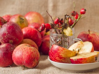 A healthy autumn snack: fresh natural organic homegrown apple slices ready to eat, with rosehip decorations