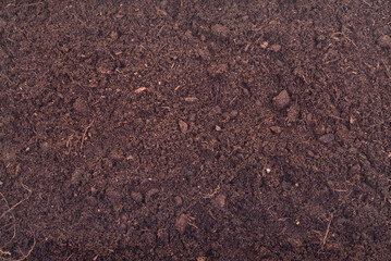 Soil texture background of fertile brown earth close up