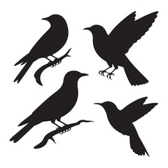 Obraz premium silhouette of birds