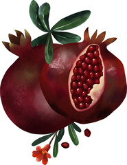 Pomegranate with leaves. Hand painted illustration