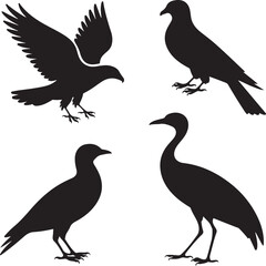 Obraz premium silhouettes of birds